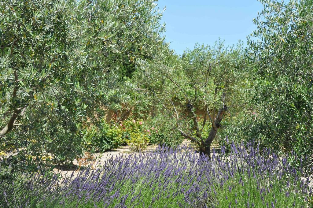 La Maison De Line Saint-Rémy-de-Provence Cameră foto