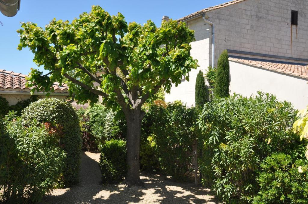 La Maison De Line Saint-Rémy-de-Provence Exterior foto