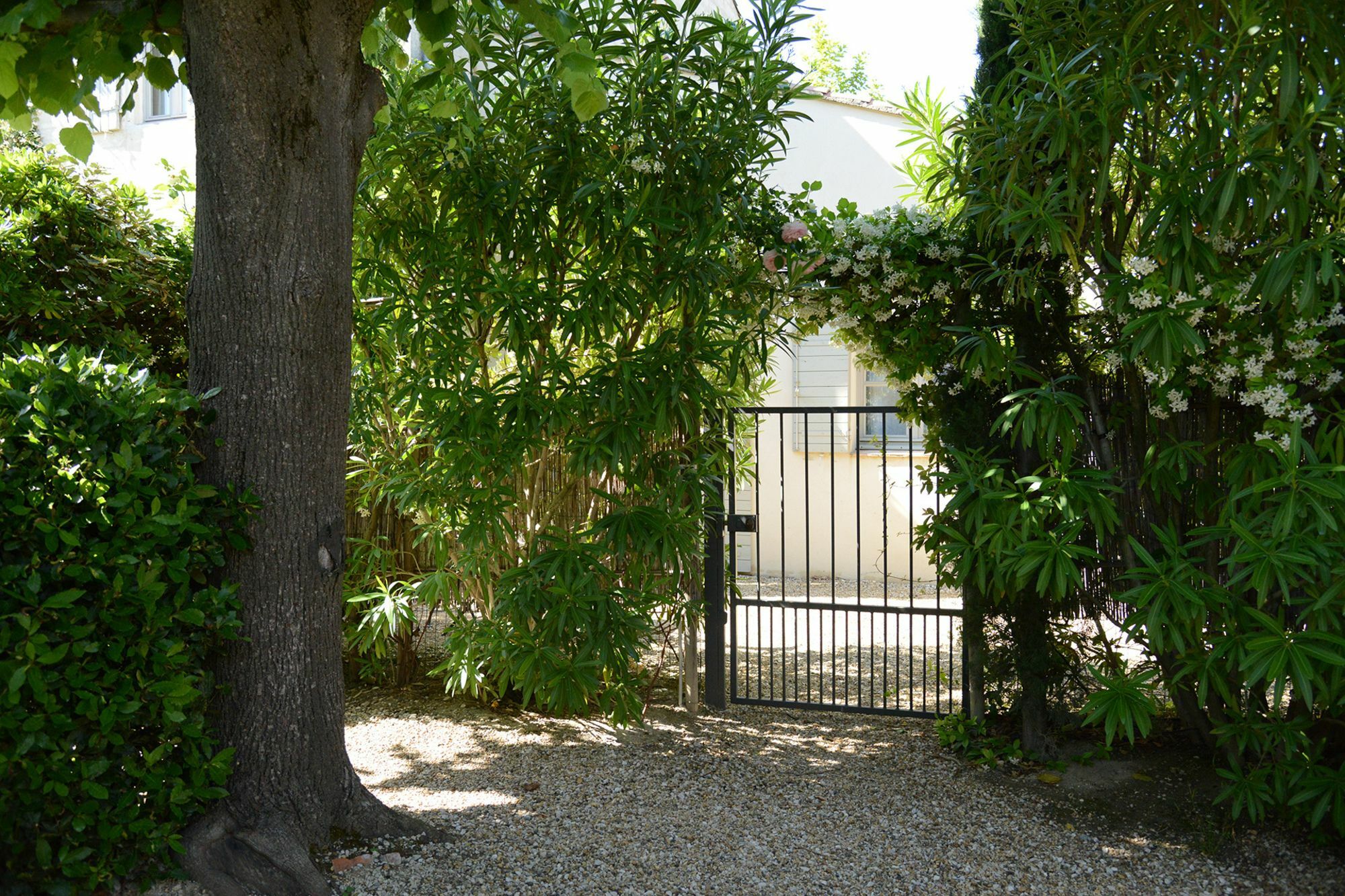 La Maison De Line Saint-Rémy-de-Provence Exterior foto